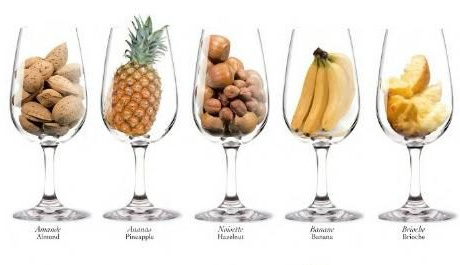 aromas del vino