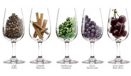 aromas del vino