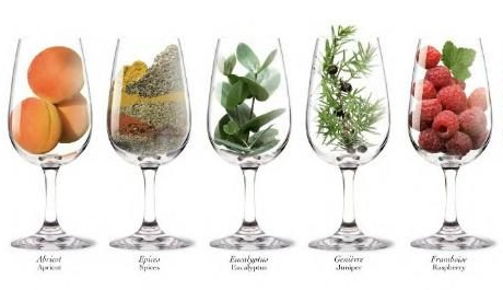 aromas del vino