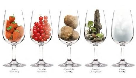aromas del vino